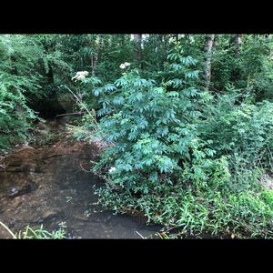 Meet your Posher, Sawyer